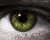 thumb-image-2024-02-29T13:58:21.278Z