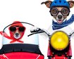 thumb-image-2024-02-29T13:58:21.401Z