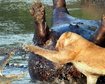thumb-image-2024-02-29T13:58:21.652Z