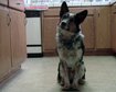 thumb-image-2024-02-29T13:58:21.963Z