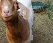 thumb-image-2024-02-29T13:58:23.326Z