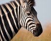 thumb-image-2024-02-29T13:58:23.570Z