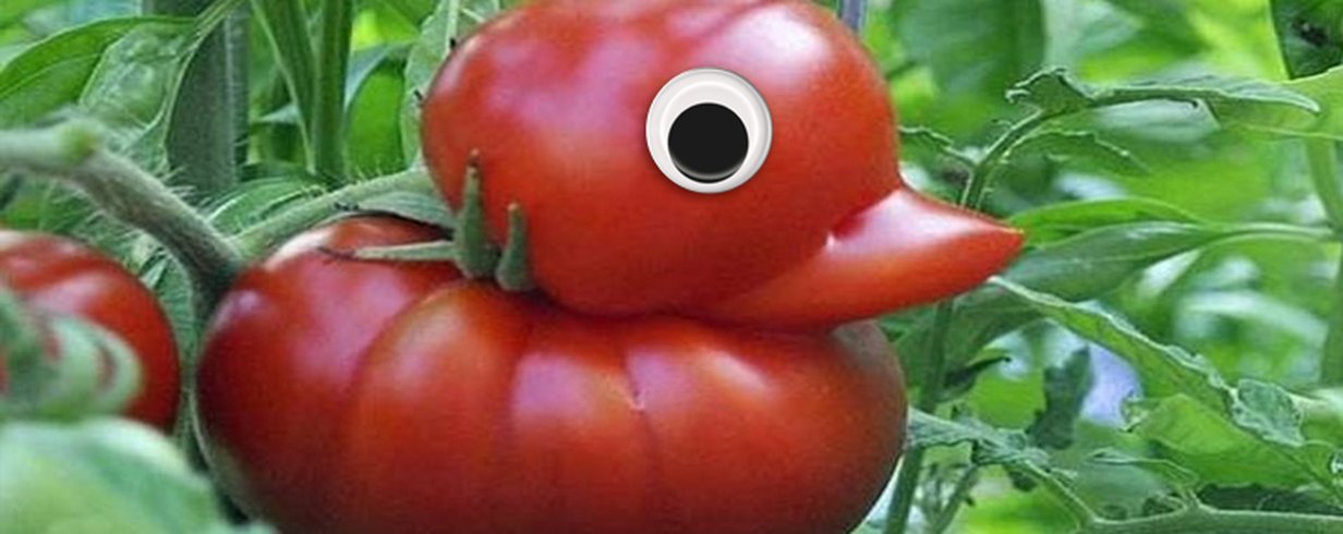 thumb-image-2024-02-29T13:58:23.734Z