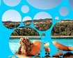 thumb-image-2024-02-29T13:58:24.577Z
