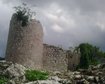 thumb-image-2024-02-29T13:58:25.543Z