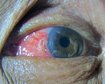 thumb-image-2024-02-29T13:58:24.941Z