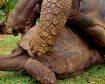 thumb-image-2024-02-29T13:58:26.138Z
