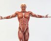 thumb-image-2024-02-29T13:58:26.189Z