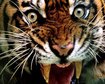 thumb-image-2024-02-29T13:58:26.904Z
