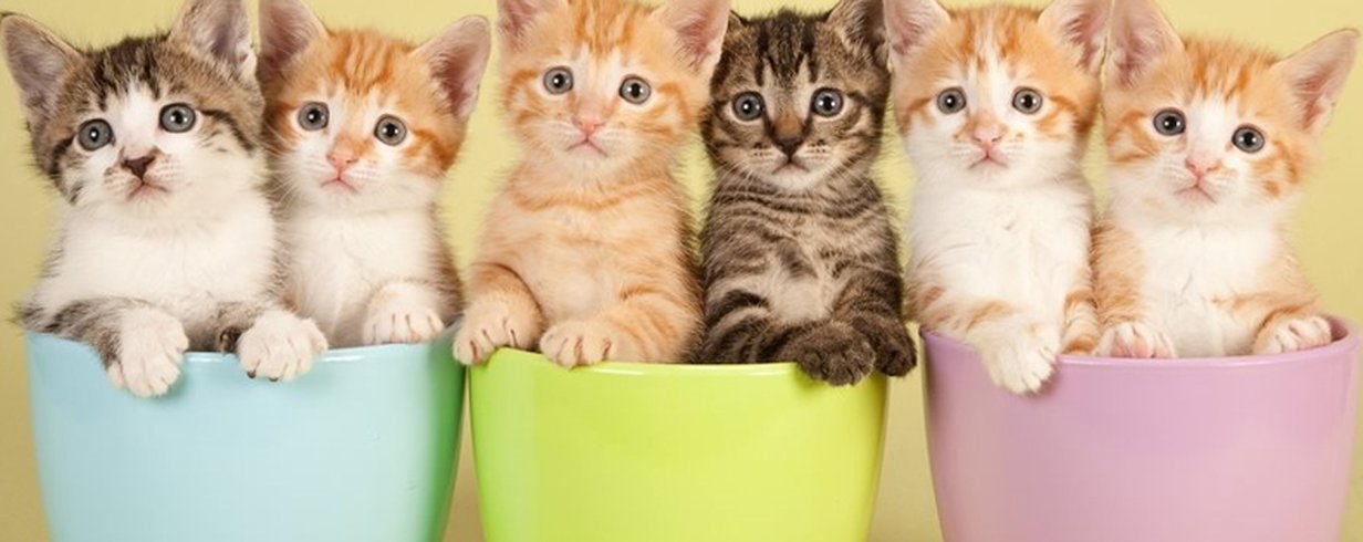 thumb-image-2024-02-29T13:58:27.132Z