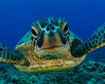 thumb-image-2024-02-29T13:58:27.477Z