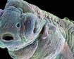 thumb-image-2024-02-29T13:58:28.006Z
