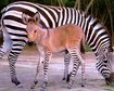 thumb-image-2024-02-29T13:58:28.216Z