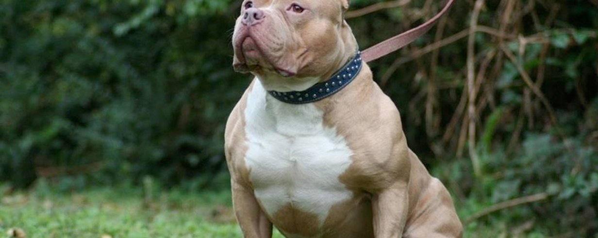 thumb-image-2024-02-29T13:58:28.462Z