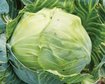 thumb-image-2024-02-29T13:58:28.684Z
