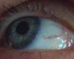 thumb-image-2024-02-29T13:58:28.742Z