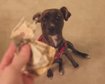 thumb-image-2024-02-29T13:58:28.958Z