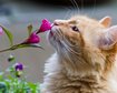 thumb-image-2024-02-29T13:58:29.856Z