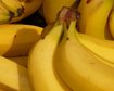 thumb-image-2024-02-29T13:58:30.361Z