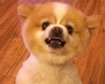 thumb-image-2024-02-29T13:58:30.644Z