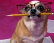 thumb-image-2024-02-29T13:58:30.884Z