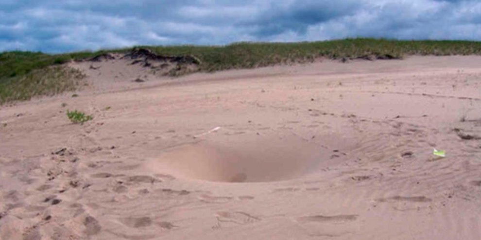 É realmente possível ser engolido por uma areia movediça? - Saber
