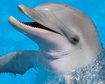 thumb-image-2024-02-29T13:58:31.064Z
