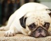 thumb-image-2024-02-29T13:58:31.503Z