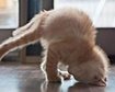 thumb-image-2024-02-29T13:58:31.754Z