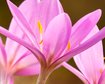 thumb-image-2024-02-29T13:58:31.830Z