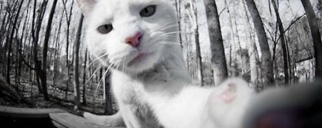 thumb-image-2024-02-29T13:58:32.137Z