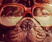 thumb-image-2024-02-29T13:58:32.303Z