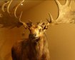 thumb-image-2024-02-29T13:58:32.340Z
