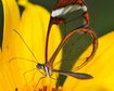 thumb-image-2024-02-29T13:58:32.551Z