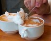 thumb-image-2024-02-29T13:58:32.626Z