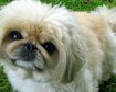 thumb-image-2024-02-29T13:58:32.867Z