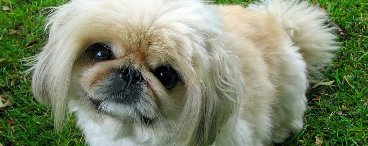 thumb-image-2024-02-29T13:58:32.867Z