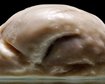 thumb-image-2024-02-29T13:58:33.182Z