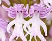 thumb-image-2024-02-29T13:58:33.666Z