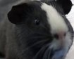 thumb-image-2024-02-29T13:58:34.432Z
