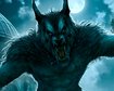 thumb-image-2024-02-29T13:58:34.669Z