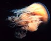 thumb-image-2024-02-29T13:58:34.778Z