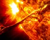 thumb-image-2024-02-29T13:58:34.832Z