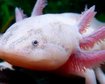 thumb-image-2024-02-29T13:58:35.795Z
