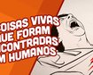 thumb-image-2024-02-29T13:58:36.051Z