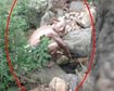 thumb-image-2024-02-29T13:58:36.179Z