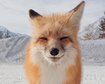thumb-image-2024-02-29T13:58:36.208Z