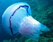 thumb-image-2024-02-29T13:58:36.546Z