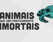 thumb-image-2024-02-29T13:58:36.663Z