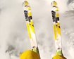 thumb-image-2024-02-29T13:58:36.715Z